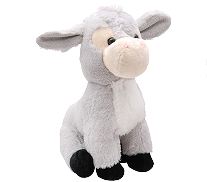 Remote Work Motivation